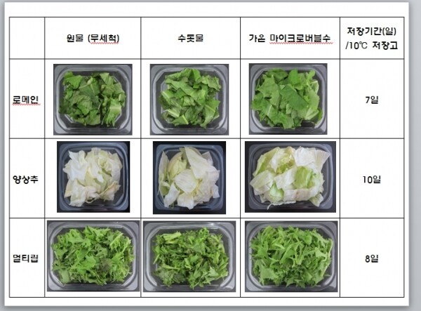 절단 채소류의 가온 마이크로버블수 효과