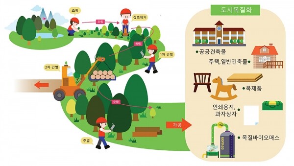 숲의 나무는 도시의 목재로 다시 태어납니다
