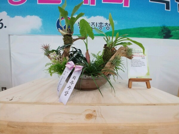 최우수상 전북 전주 양진용