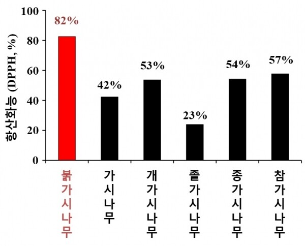 가시나무류의 항산화능 비교표