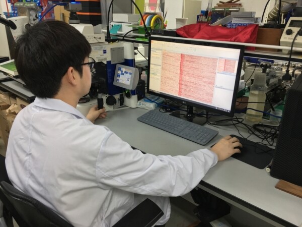 사진은 임진원의 목재수종 감정 서비스의 모습