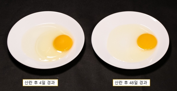비교설명