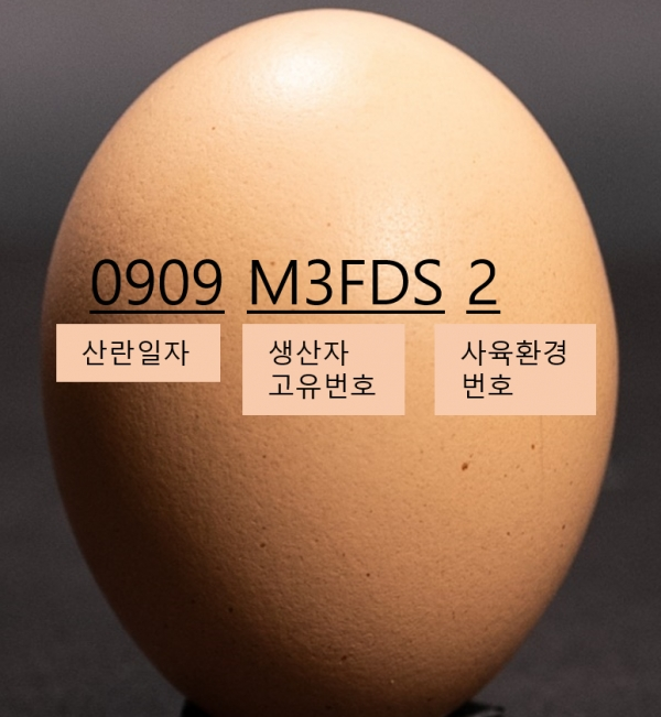 산란일자 표기