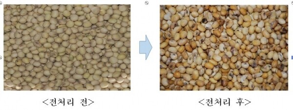 전처리 전 후의 대풍콩 비교