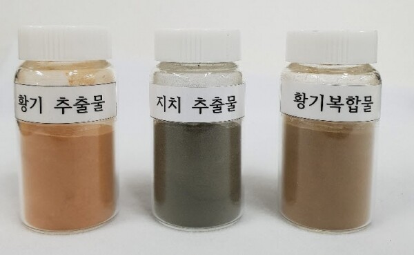 황기 지치 복합 추출물