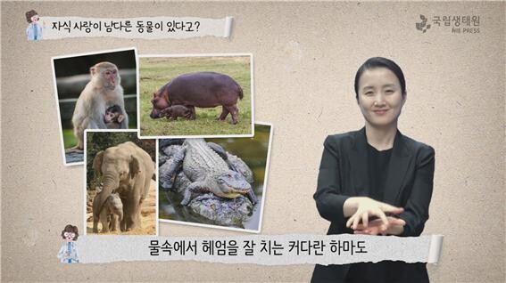 사진은 생태정보 수화 영상도서