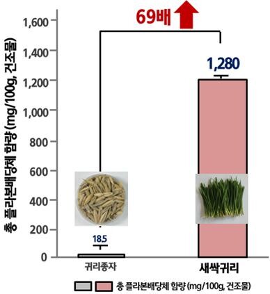 새싹귀리 아베나코사이드류 분리 정제 및 정량분석 결과