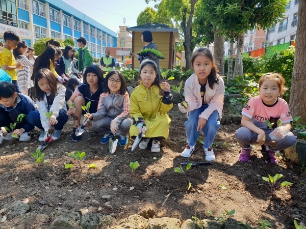 사진은 제주농업기술센터의 도시농업 활성화 사례 모습