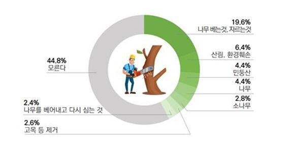 벌채(목재생산)에 대한 느낌