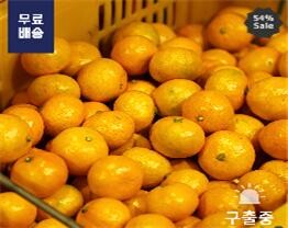 못생긴 농산물 원물