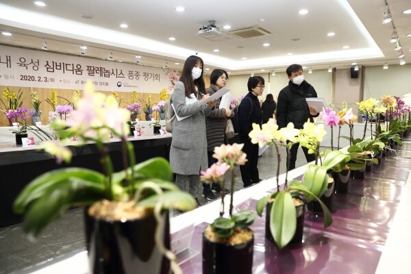 사진은 국내육성 난의 품종평가회 모습