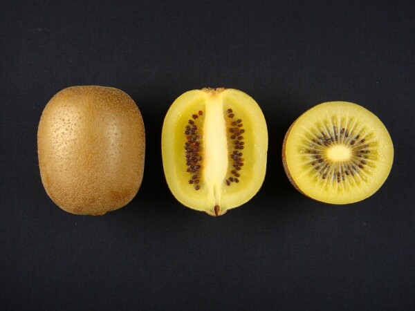 선플