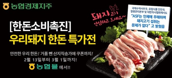 농협몰 행사 배너