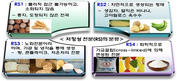 저항전분 정의와 분류