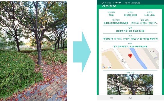 수목 관리 이력정보화 시스템의  수목개체별 표식 정보