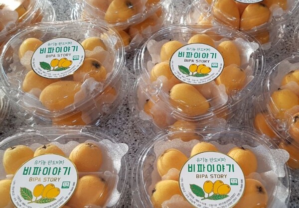 비파 상품