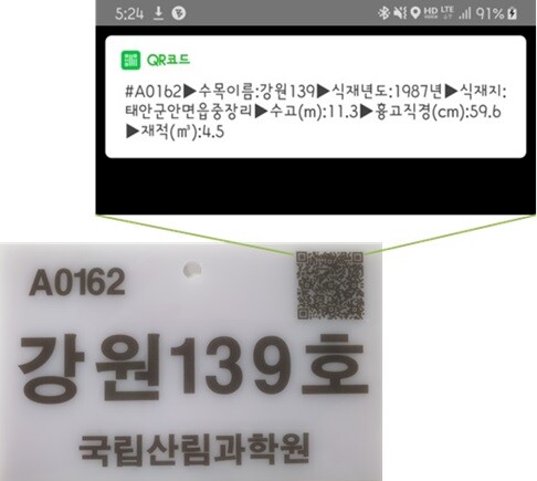 나무 개체별 이력 관리시스템 프로그램