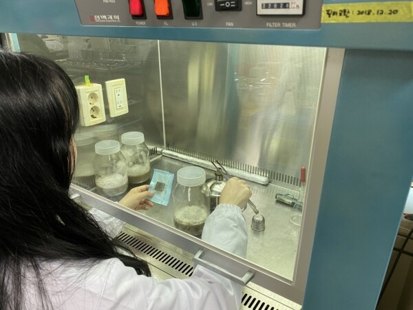 목재보존제 방부성능 시험 모습