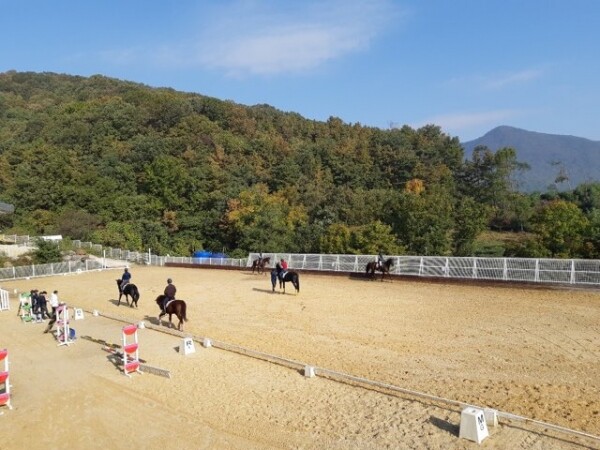 사진은 지난 2019년 마장마술 고급과정 교육 모습