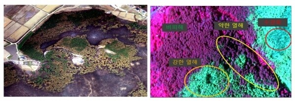 사진은 지난 2019년 강원도 고성·속초 산불을 다중분광센서로 분석한 모습