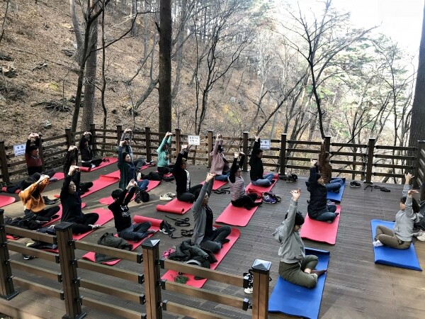 사진은 산림치유 프로그램 모습