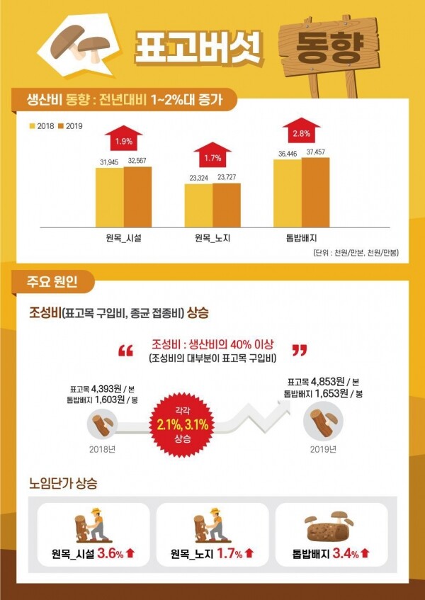 표고버섯 동향 한컷뉴스