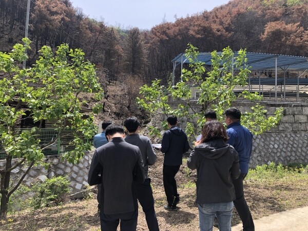 사진은 경상북도 안동시 산불피해지에서 합동 현장조사를 실시하고 있는 모습
