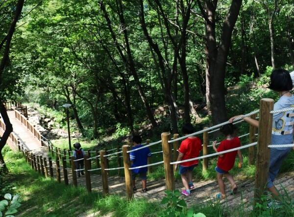 사진은 온드림 숲 속 힐링교실 모습