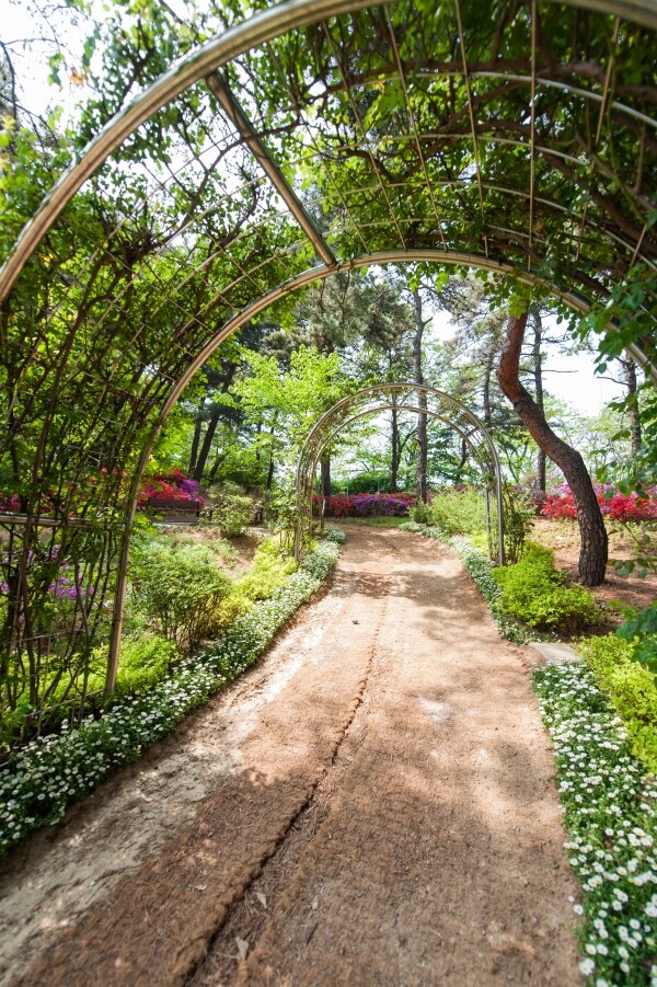 서울경마공원 산책로