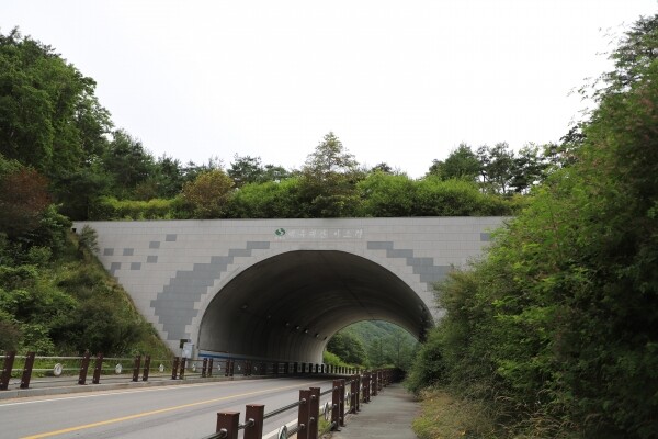 사진은 백두대간 생태축을 복원한 비조령 전경