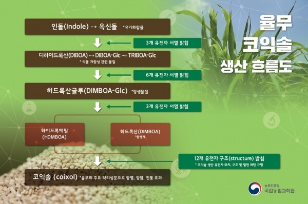 율무 코익솔 생산 흐름
