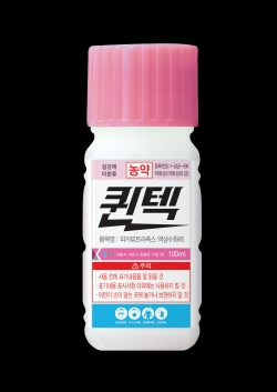 퀸텍