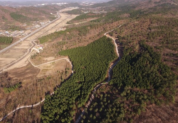 사진은 전남 보성 봉화산 선도 산림경영단지 모습