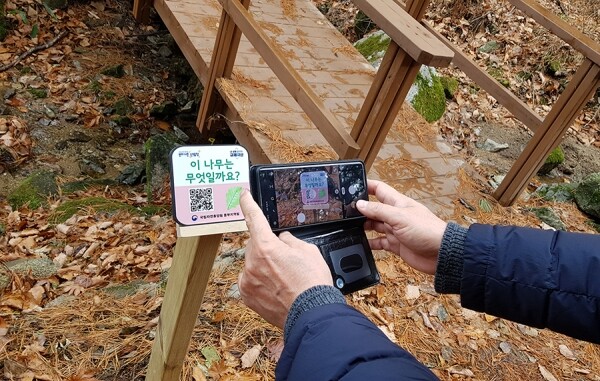 사진은 QR코드를 활용해 숲해설 동영상을 체험하는 모습