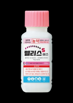 벨리스에스