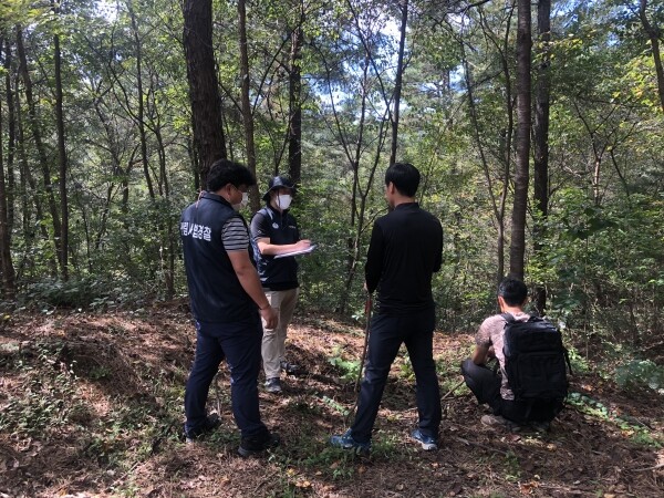 사진은 산림특별사법경찰관이 단속을 진행하고 있는 모습