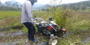 thumbimg