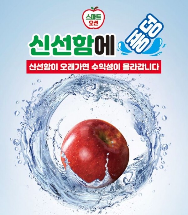 스마트오션