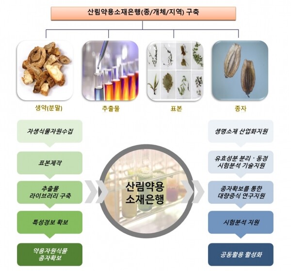산림약용소재은행 구축 체계도