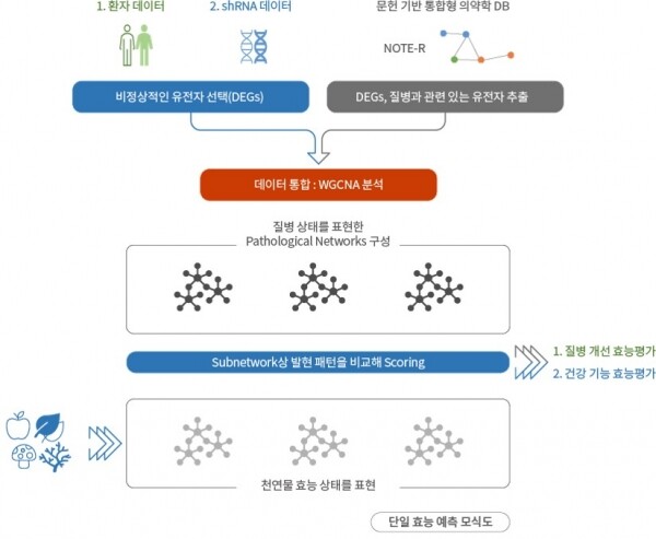 천연물 효능예측 모식도