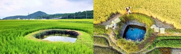 고성 둠벙 관개시스템은 조선 후기 해안지역에 소규모로 445개가 분포되어 있다