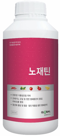 노재틴