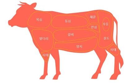 소고기 부위