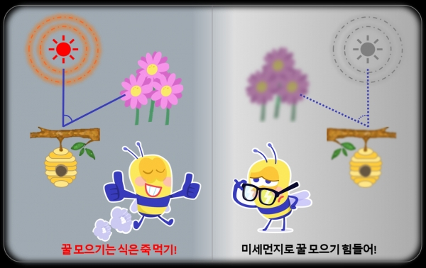 인포그래픽
