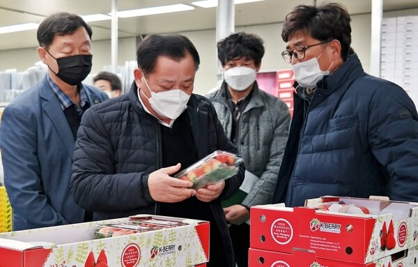 aT 박석배 상임감사가 진주의 딸기 수출업체를 방문했다