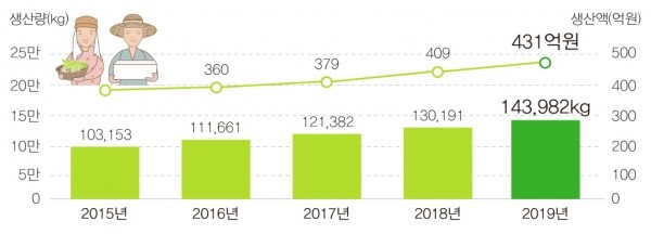2015-2019년 산양삼 생산 현황