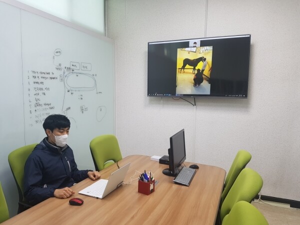 사진은 원격으로 말을 진료중인 한국마사회 수의사
