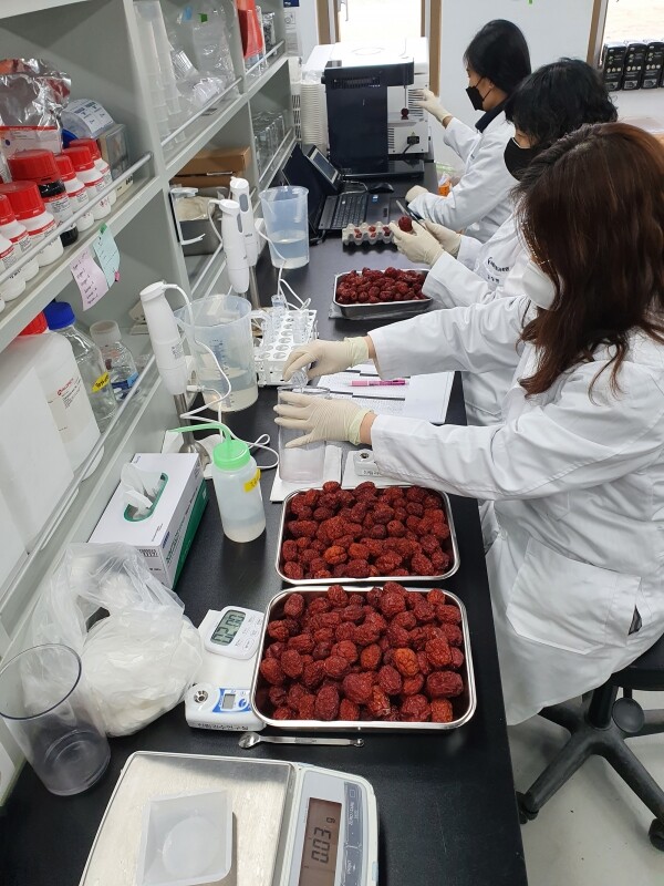 사진은 수입 냉동대추 시료분석 모습