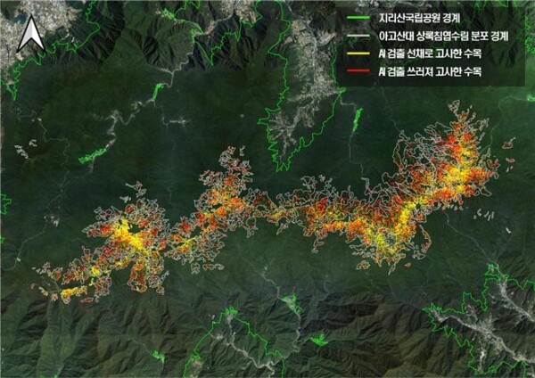 인공지능 기술을 활용해 지리산국립공원 아고산대의 상록침엽수 고사목을 검출한 결과 화면