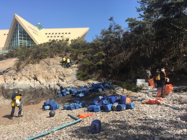 신시도 산지정화 모습